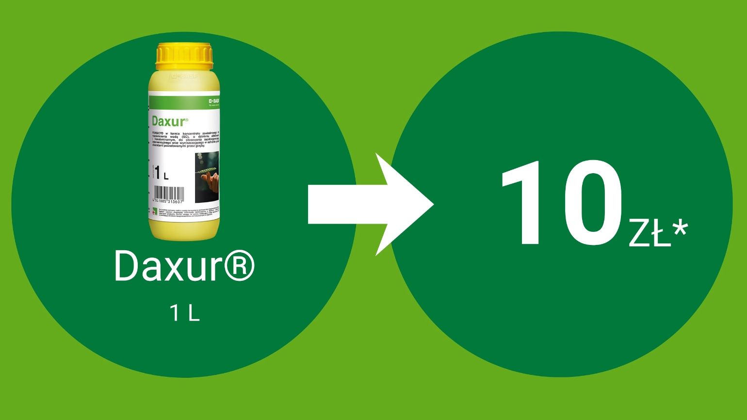 daxur-benefito-PL